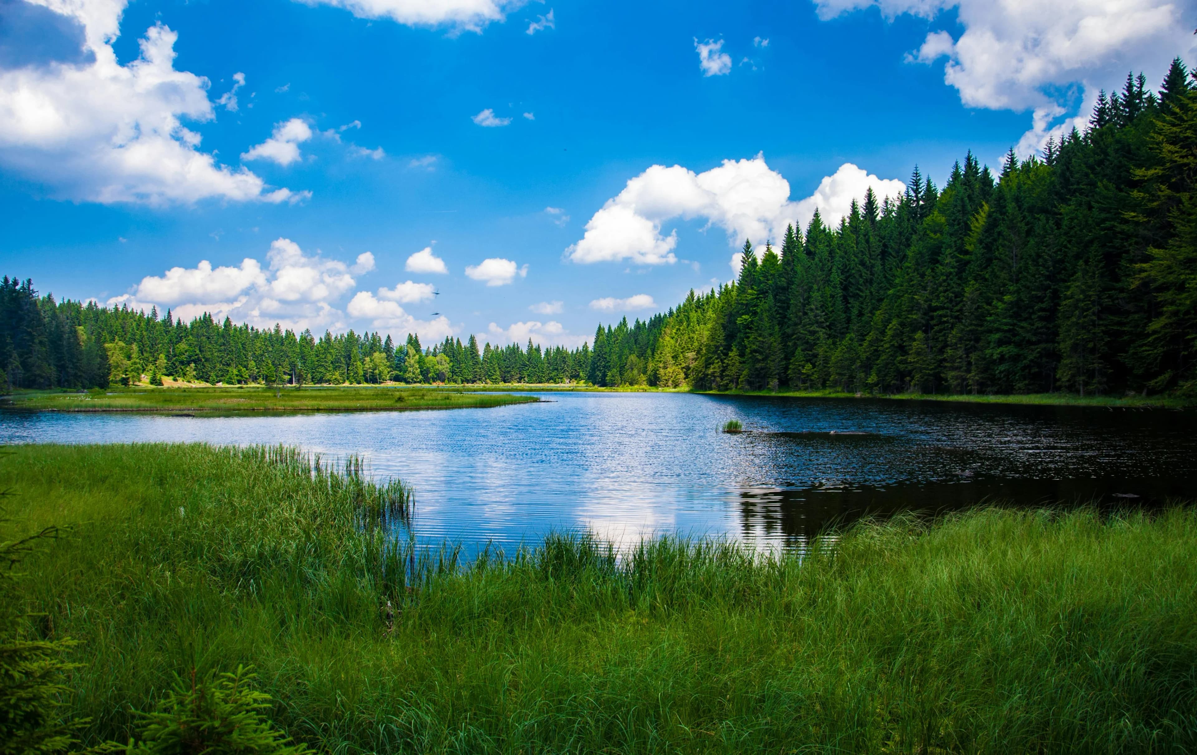 eco_bg